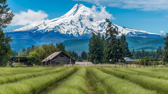 Your Ultimate Guide to Visiting Mount Hood: Exploring Oregon's Iconic Natural Wonder